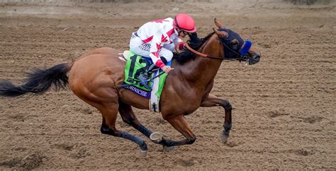 tvg off track betting